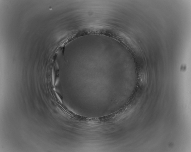 X0000097670964200803142151