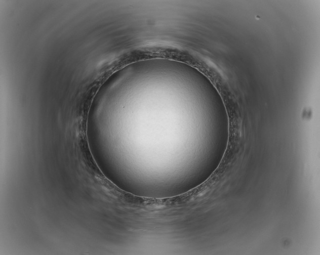 X0000097670965200803142151