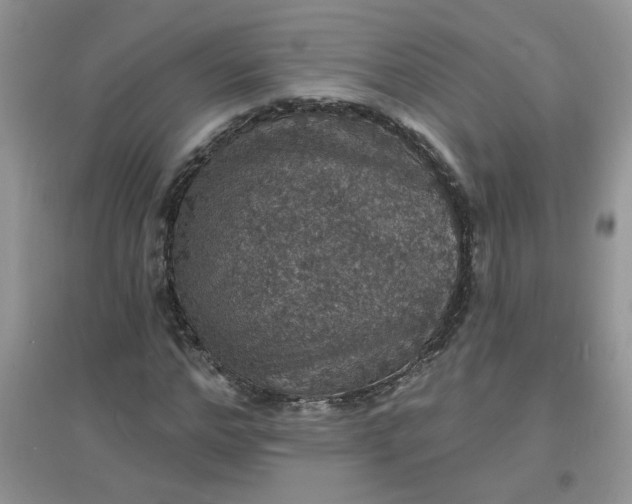 X0000097670968200803142151