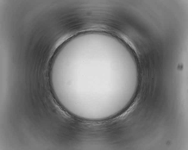 X0000097670970200803142151