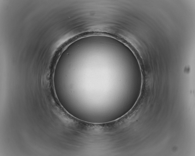 X0000097670971200803142151