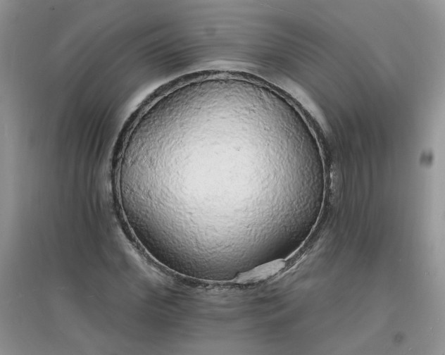 X0000097670972200803142151