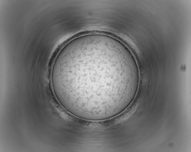 X0000097670974200803142151