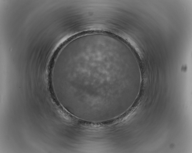 X0000097670975200803142151