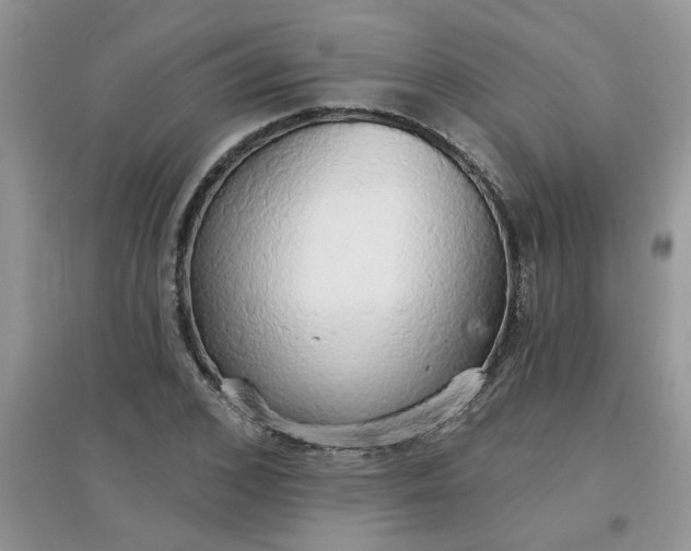 X0000097670976200803142151