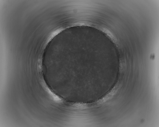 X0000097670977200803142151