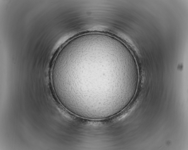 X0000097670978200803142151