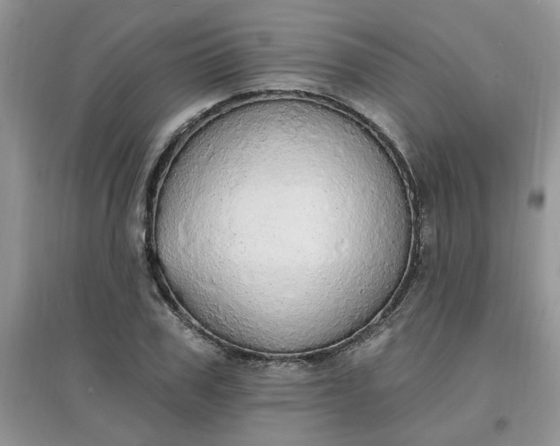 X0000097670979200803142151