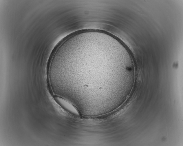 X0000097670980200803142151