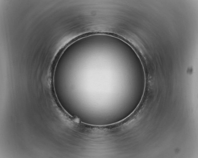 X0000097670981200803142151