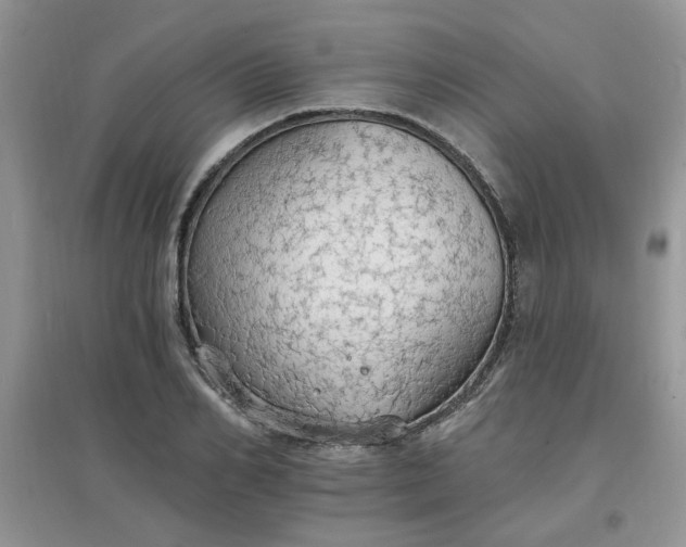 X0000097670982200803142151