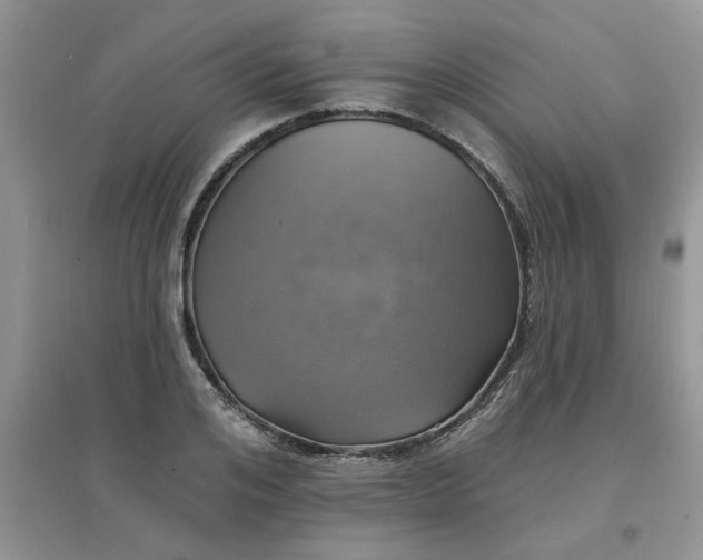 X0000097670984200803142151