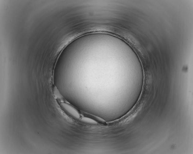 X0000097670985200803142151