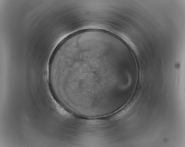 X0000097670988200803142150