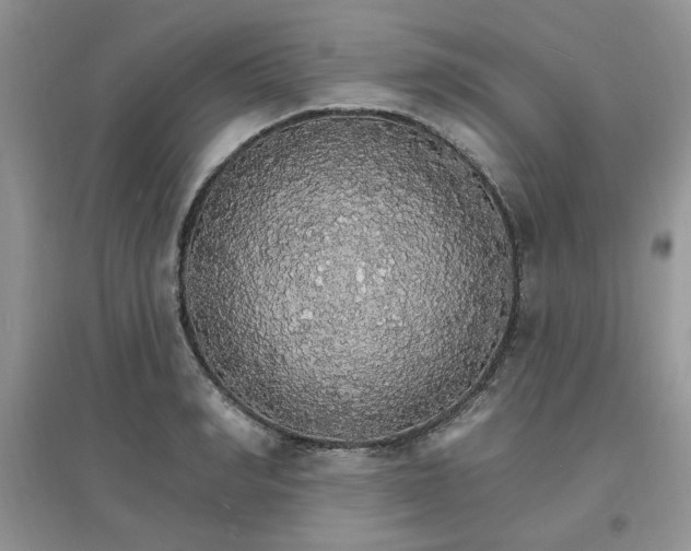 X0000097670990200803142150