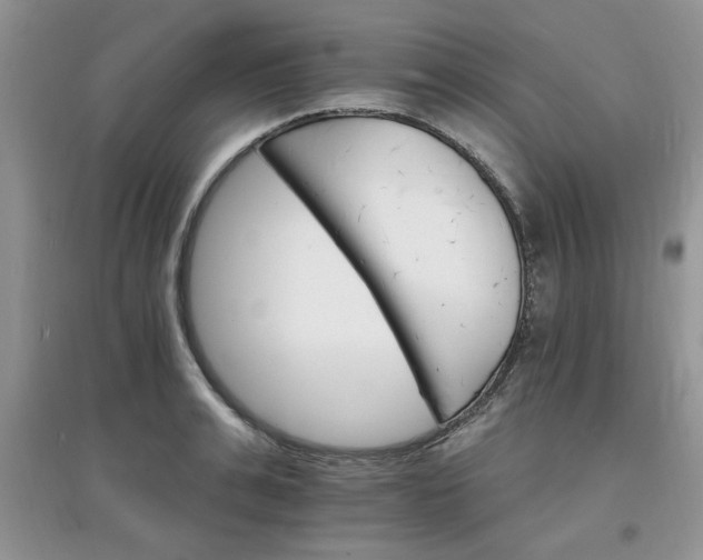 X0000097670991200803142150