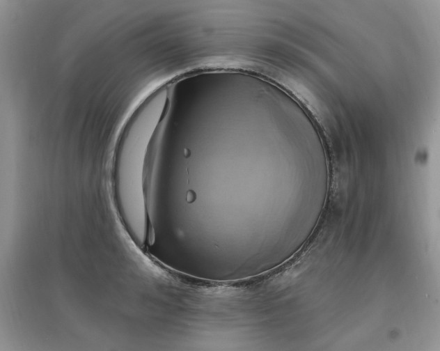 X0000097670992200803142150