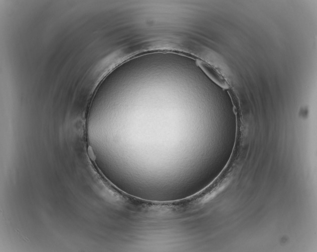X0000097670993200803142150