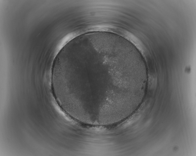 X0000097670994200803142150