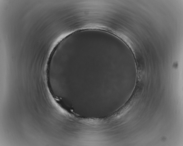X0000097670995200803142150