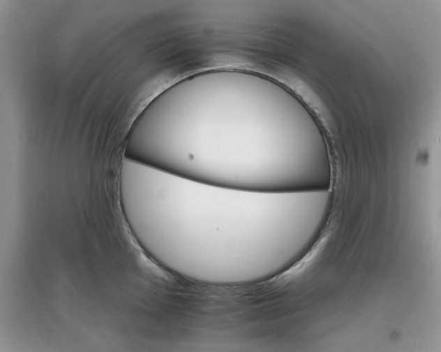 X0000097671001200803142150