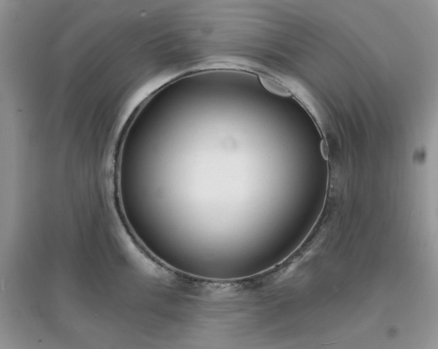X0000097671003200803142150