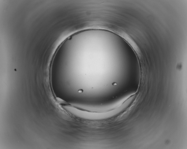 X0000097671004200803142150