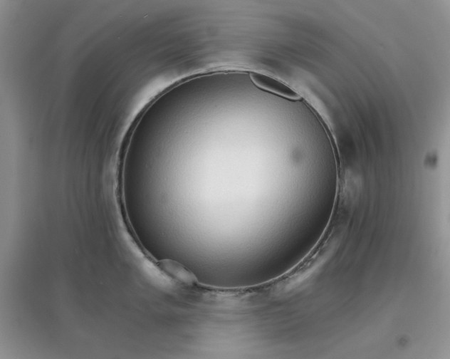 X0000097671005200803142150