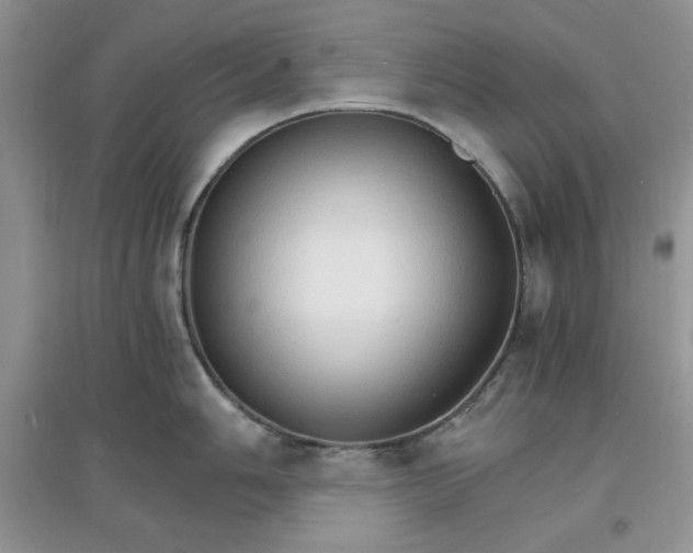X0000097671006200803142150