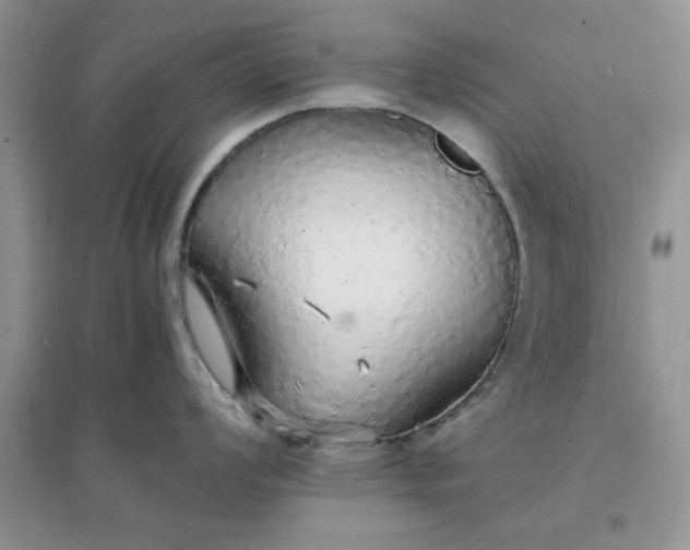 X0000097671008200803142150