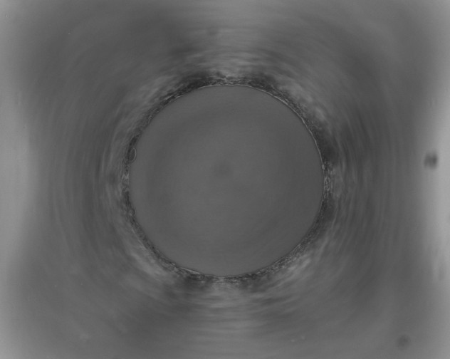 X0000097671009200803142150
