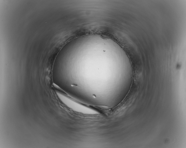 X0000097671010200803142150