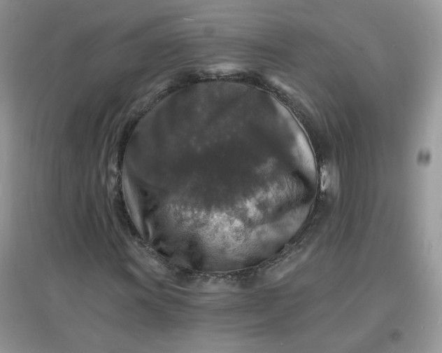 X0000097671011200803142150