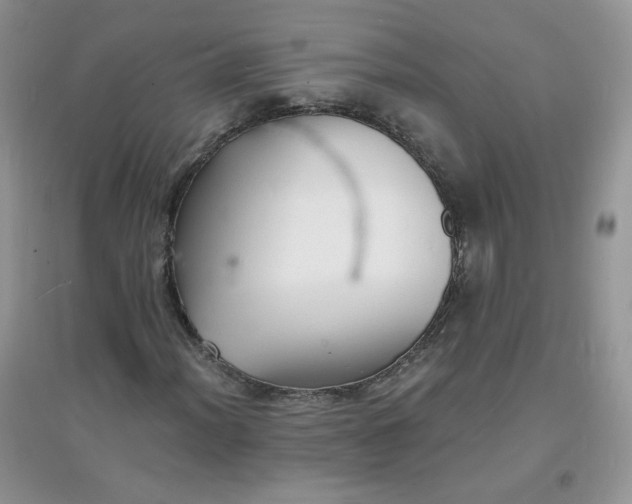 X0000097671012200803142150