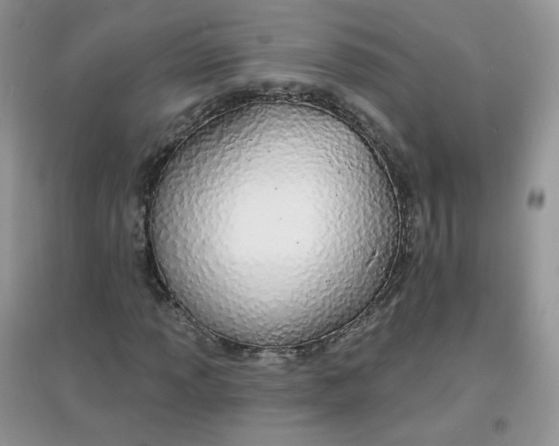 X0000097671013200803142150
