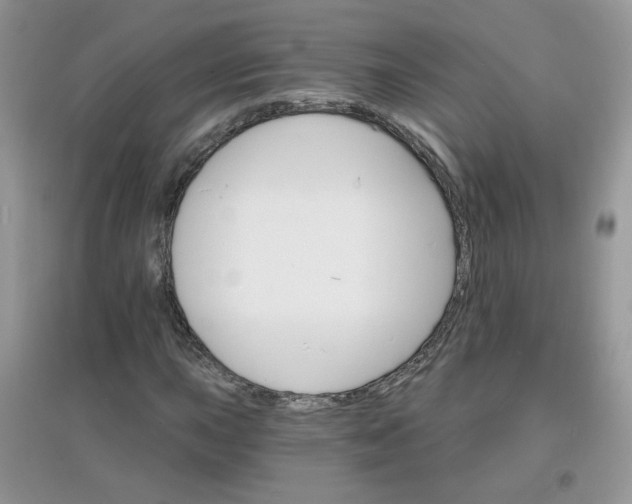 X0000097671015200803142150