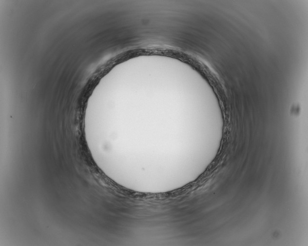 X0000097671016200803142150