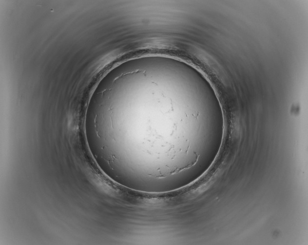 X0000097671017200803142150
