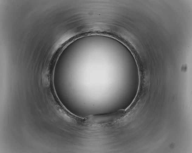 X0000097671018200803142150