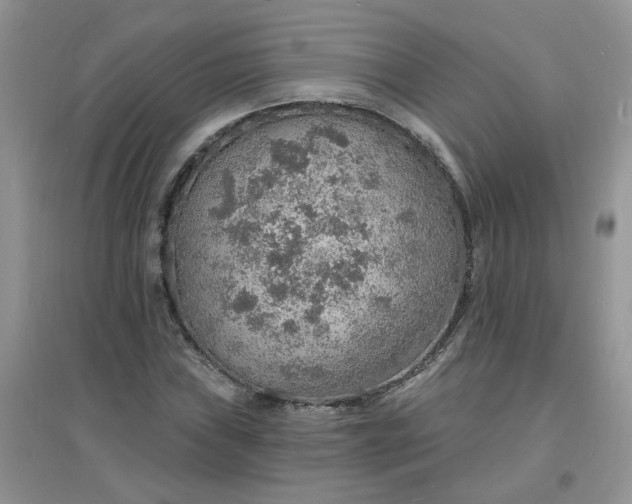 X0000097671019200803142150