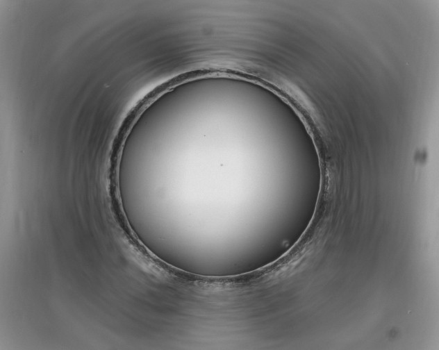 X0000097671020200803142150