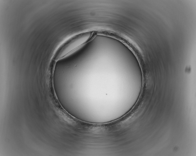 X0000097671021200803142150