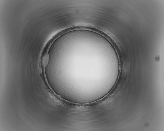 X0000097671022200803142150