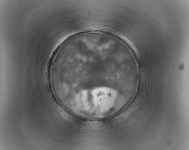 X0000097671023200803142150