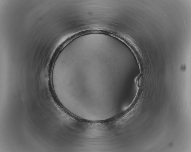 X0000097671024200803142150