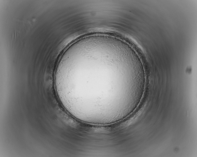 X0000097671025200803142150