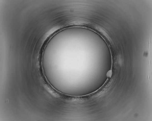 X0000097671026200803142150