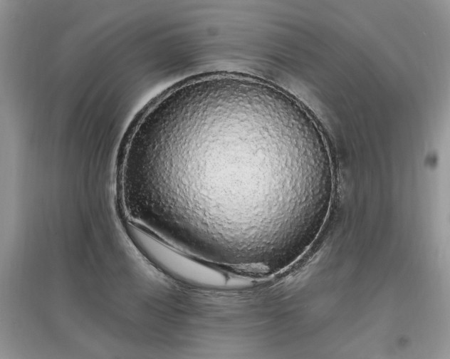 X0000097671028200803142150