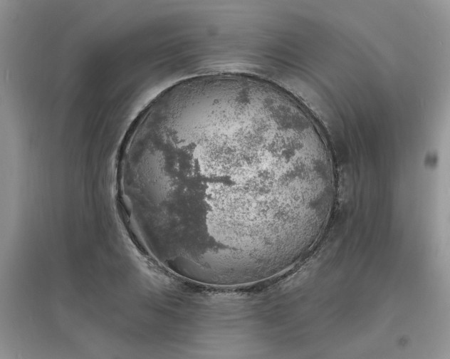 X0000097671031200803142150