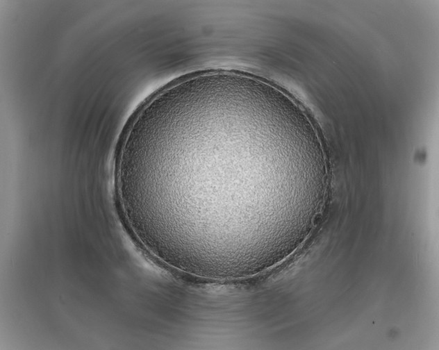 X0000097671032200803142150